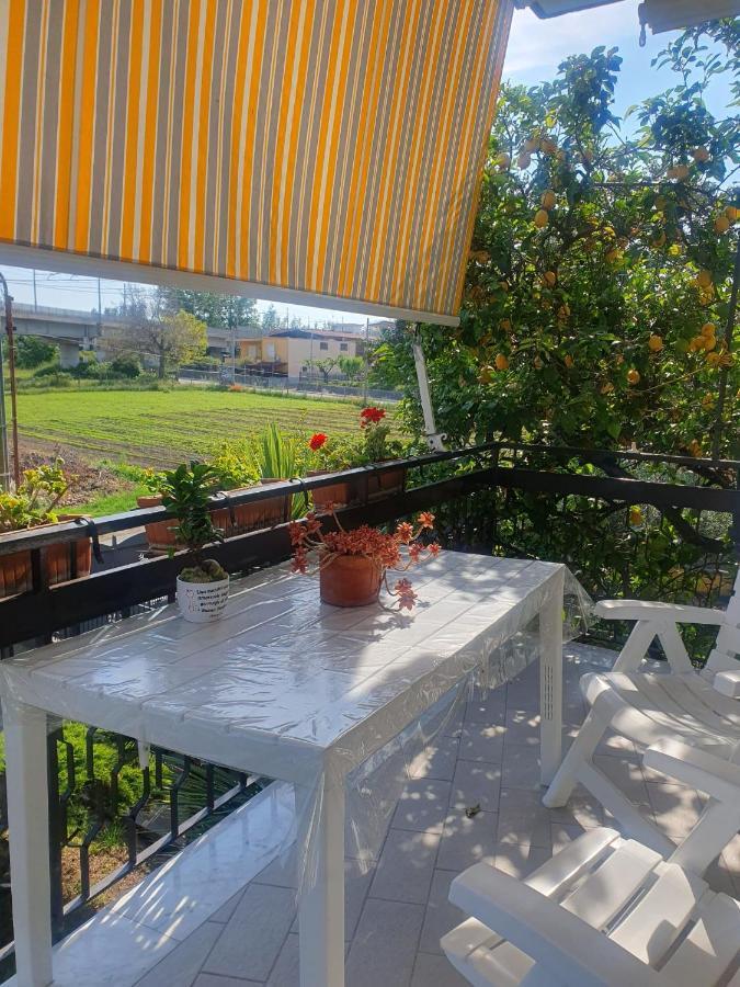 Ospitalita Il Noce Bed & Breakfast Brusciano Exterior foto